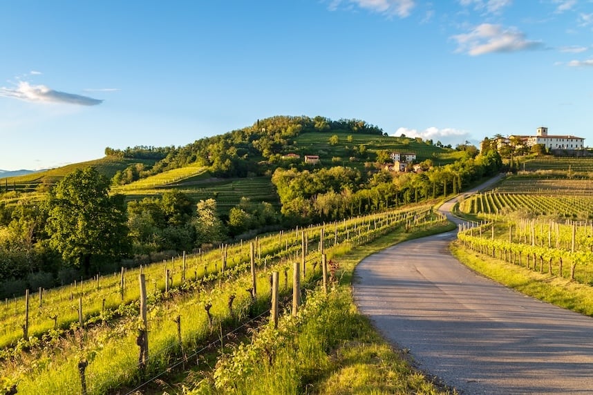 Vini friulani: l'eccellenza del Nord-Est in un calice Vini friulani: l'eccellenza del Nord-Est in un calice